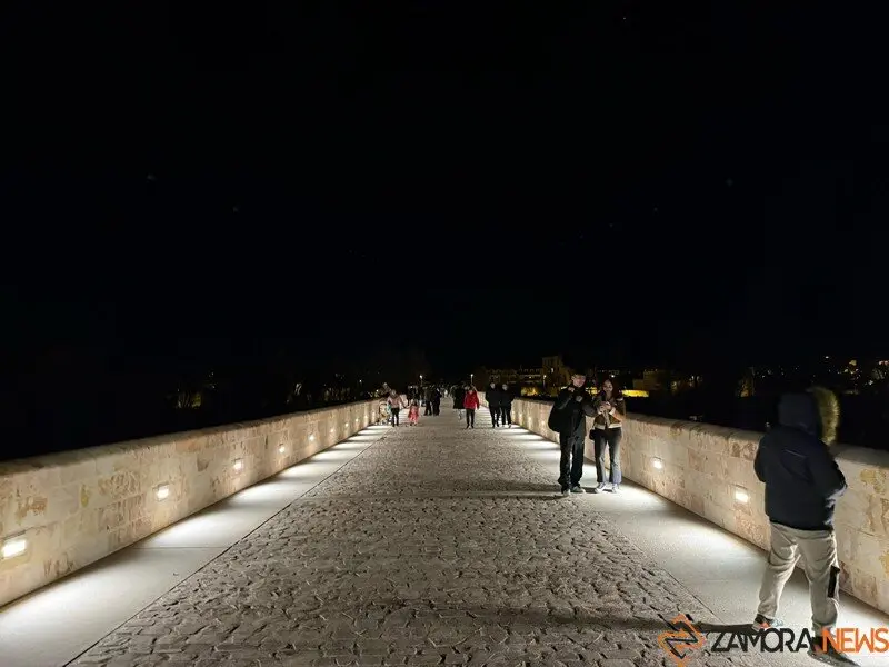 puente de piedra de Zamora de noche _4