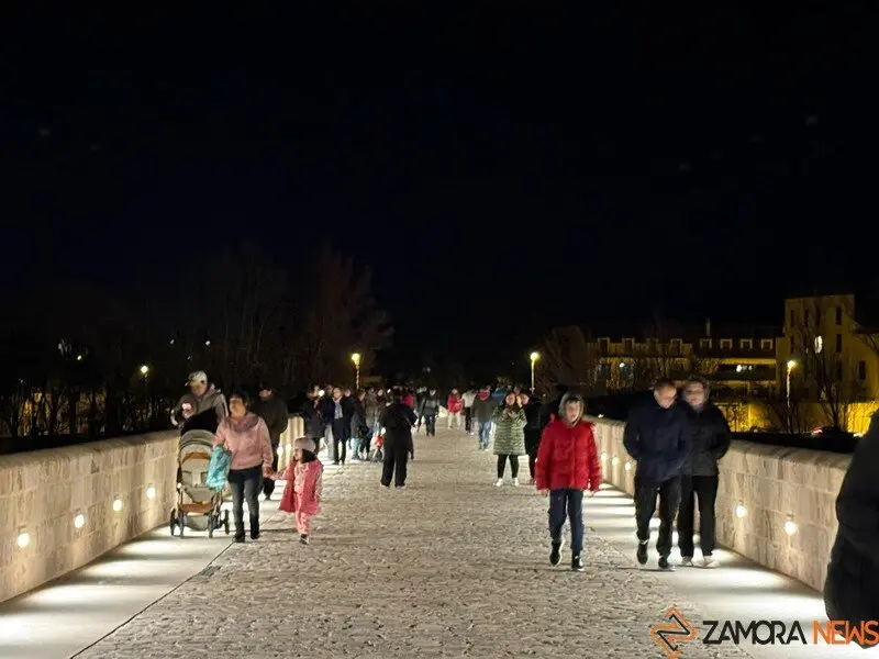 puente de piedra de Zamora de noche _5