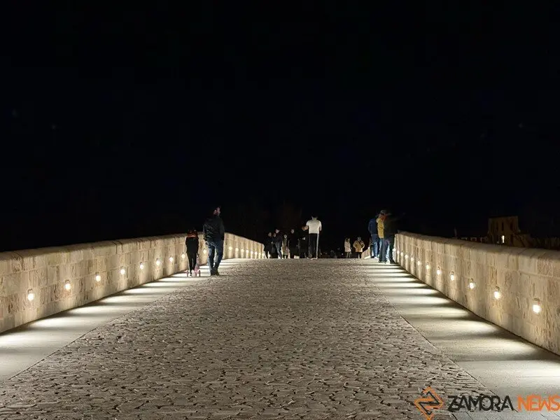 puente de piedra de Zamora de noche _6