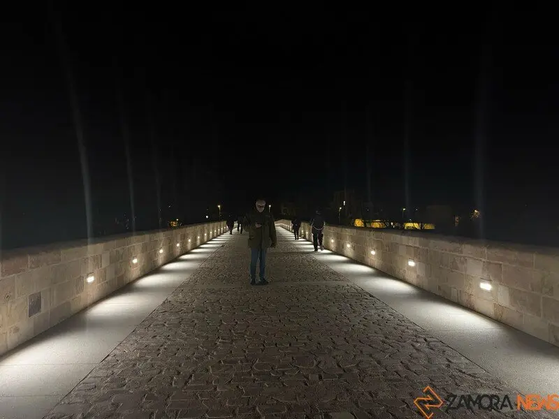 puente de piedra de Zamora de noche _8