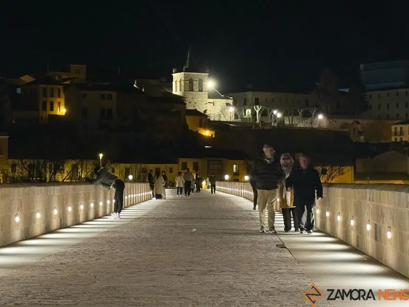 puente de piedra de Zamora de noche _9