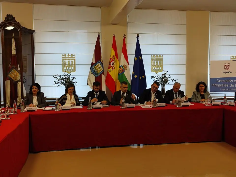 Comisión FEMP Logroño (2)