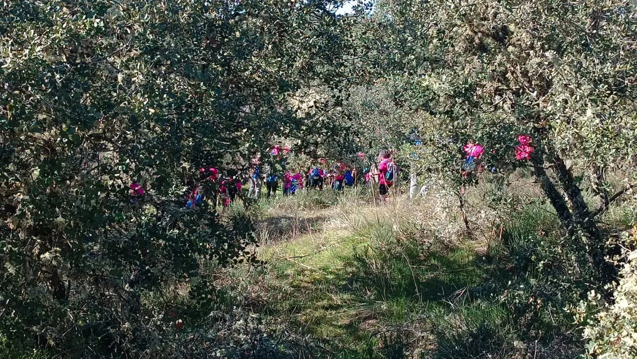 castro de alcañices ruta por la vida (3)