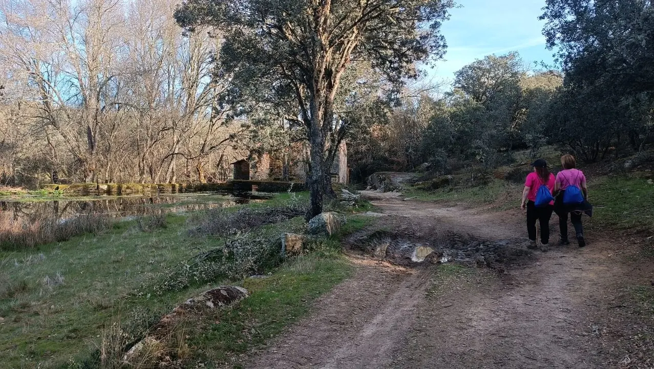 castro de alcañices ruta por la vida (11)