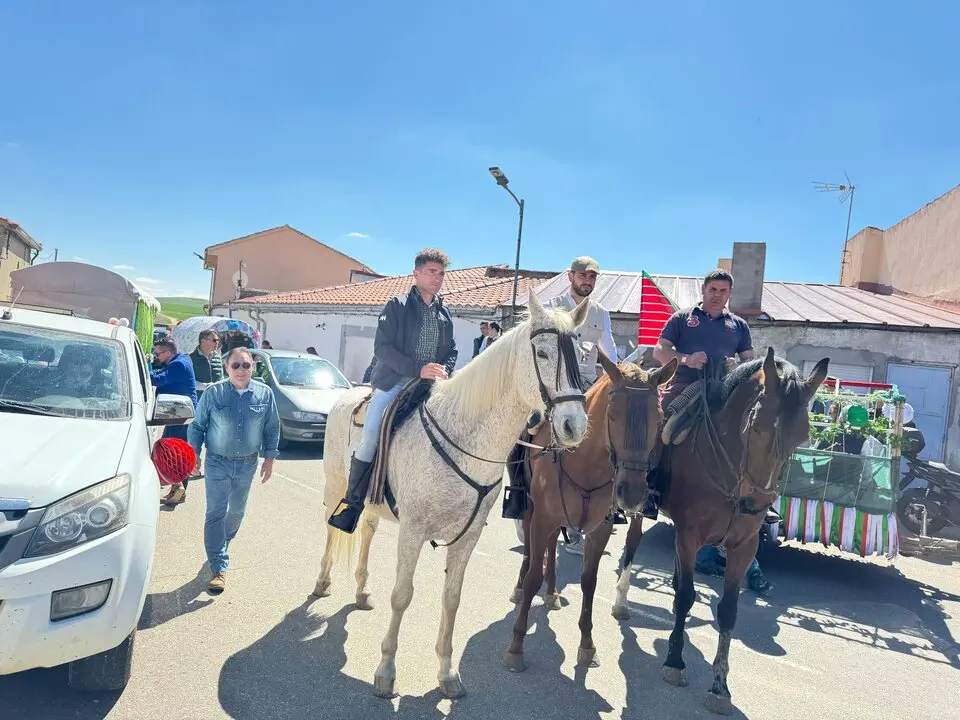 madridanos roc&iacute;o chico  (9)