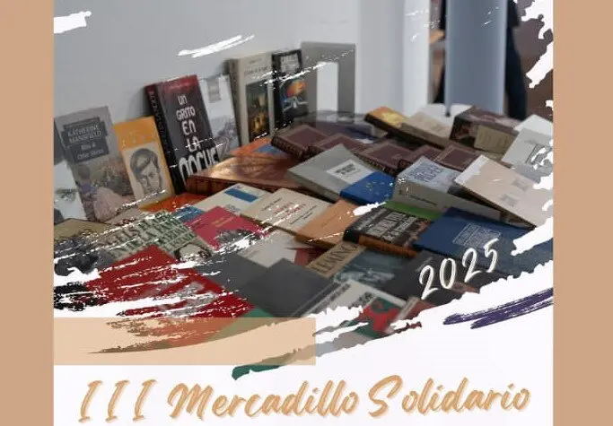 Mercadillo Solidario Biblioteca Zamora