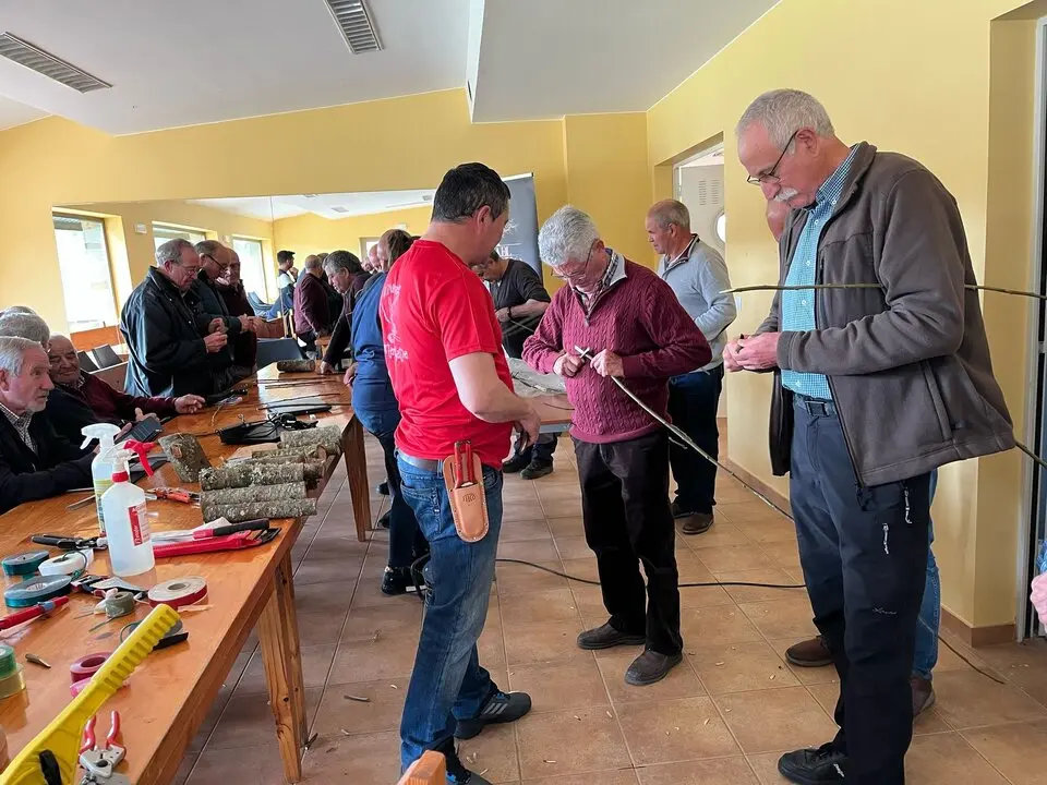 Jornada de Injerto de Castaños