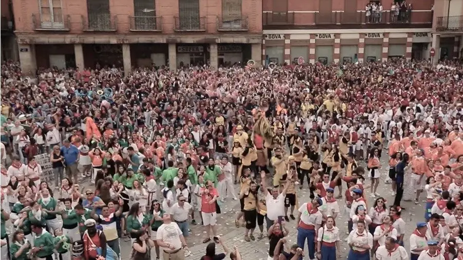 Toro Enmaromado 2019
