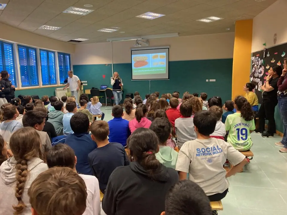 Talleres didácticos sobre alimentación ecológica