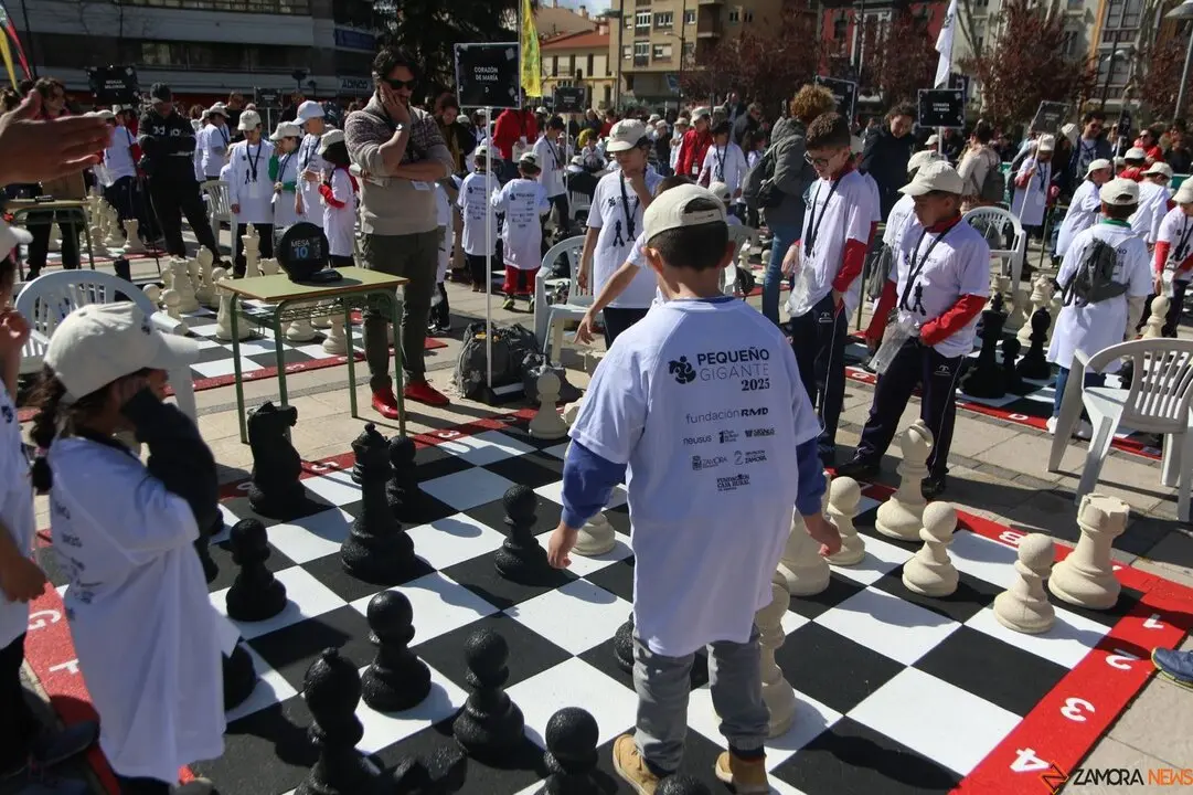 La tercera edición de ‘Pequeños Gigantes’ reúne a 22 colegios de la provincia en un torneo al aire libre