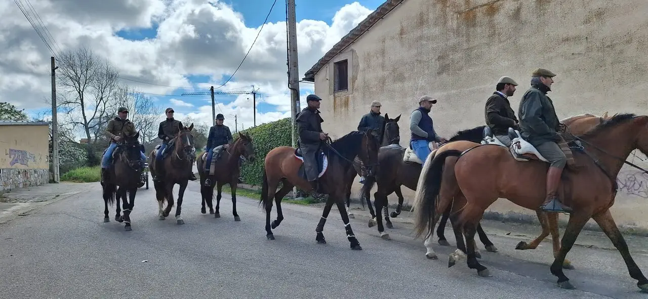camino flamenco de morales a pontejos (2)