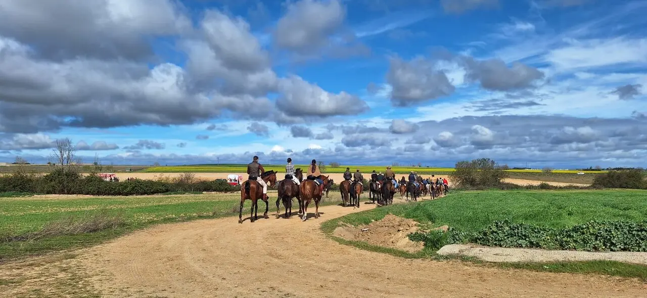 camino flamenco de morales a pontejos (10)