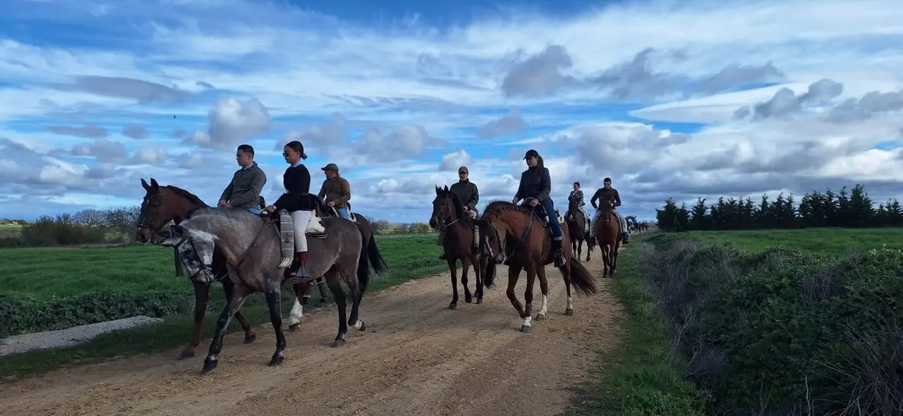 camino flamenco de morales a pontejos (14)