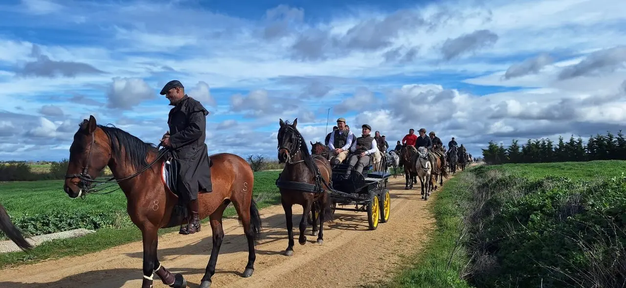 camino flamenco de morales a pontejos (16)