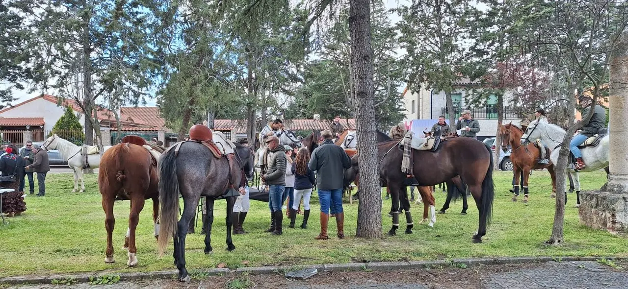 camino flamenco de morales a pontejos (45)