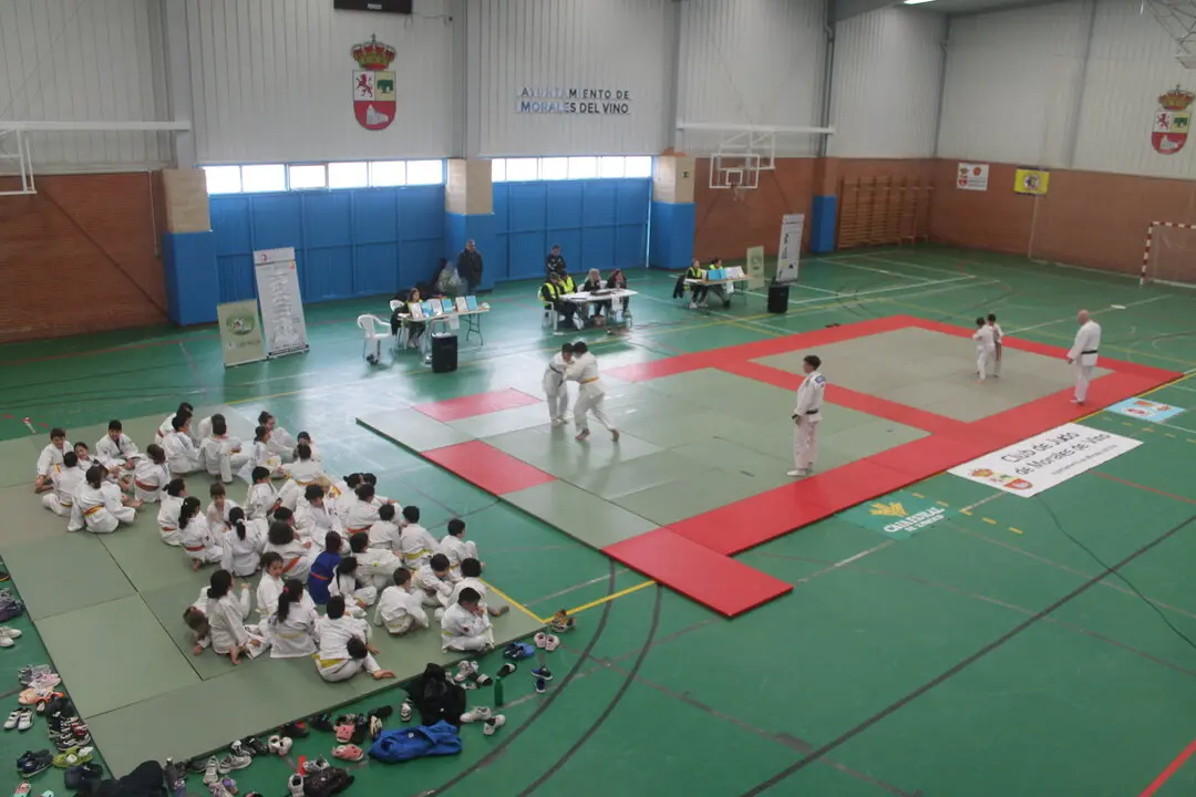 El judo zamorano se luce en Europa