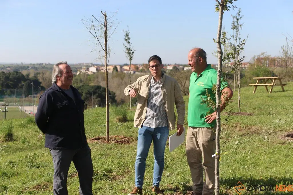 reforestación y la mejora medioambiental en la zona de las Vistillas
