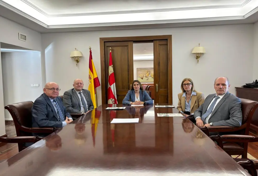 fsie y consejera