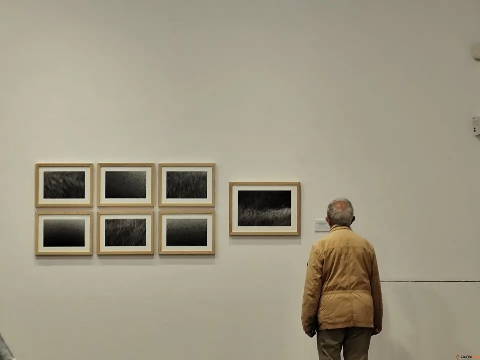 El alma de Sayago, retratada en el Museo de Zamora