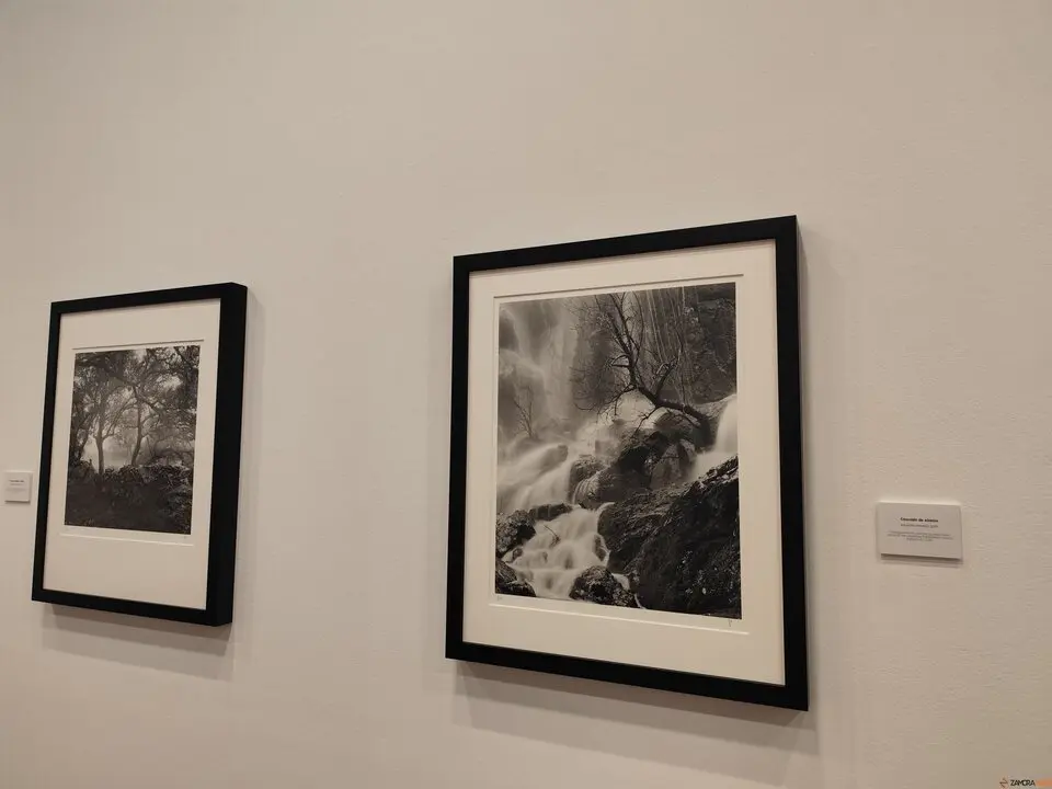 El alma de Sayago, retratada en el Museo de Zamora