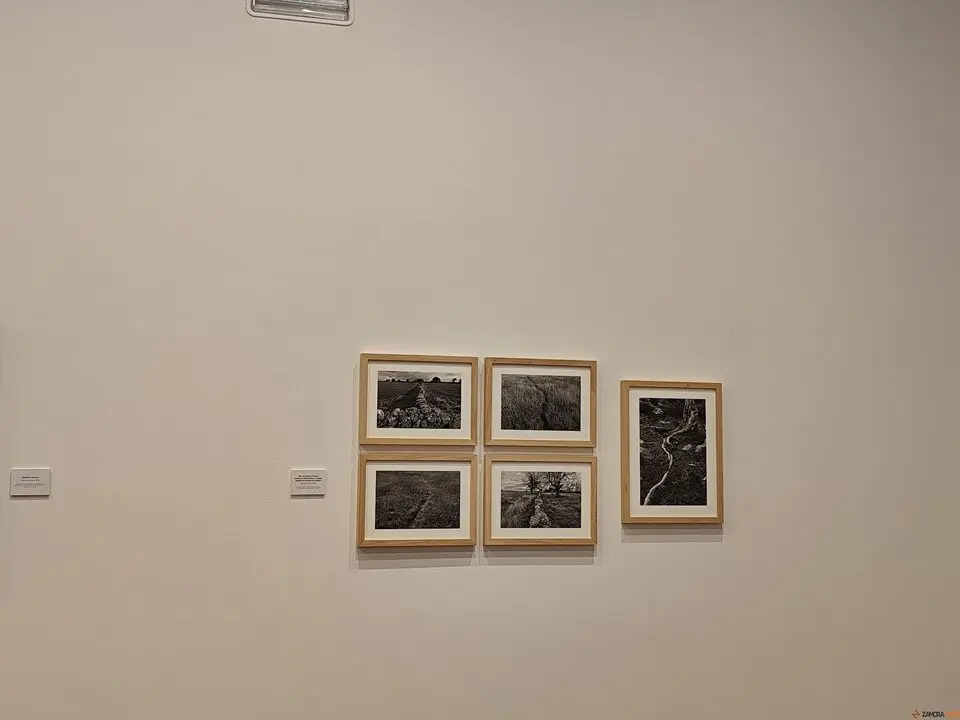 El alma de Sayago, retratada en el Museo de Zamora