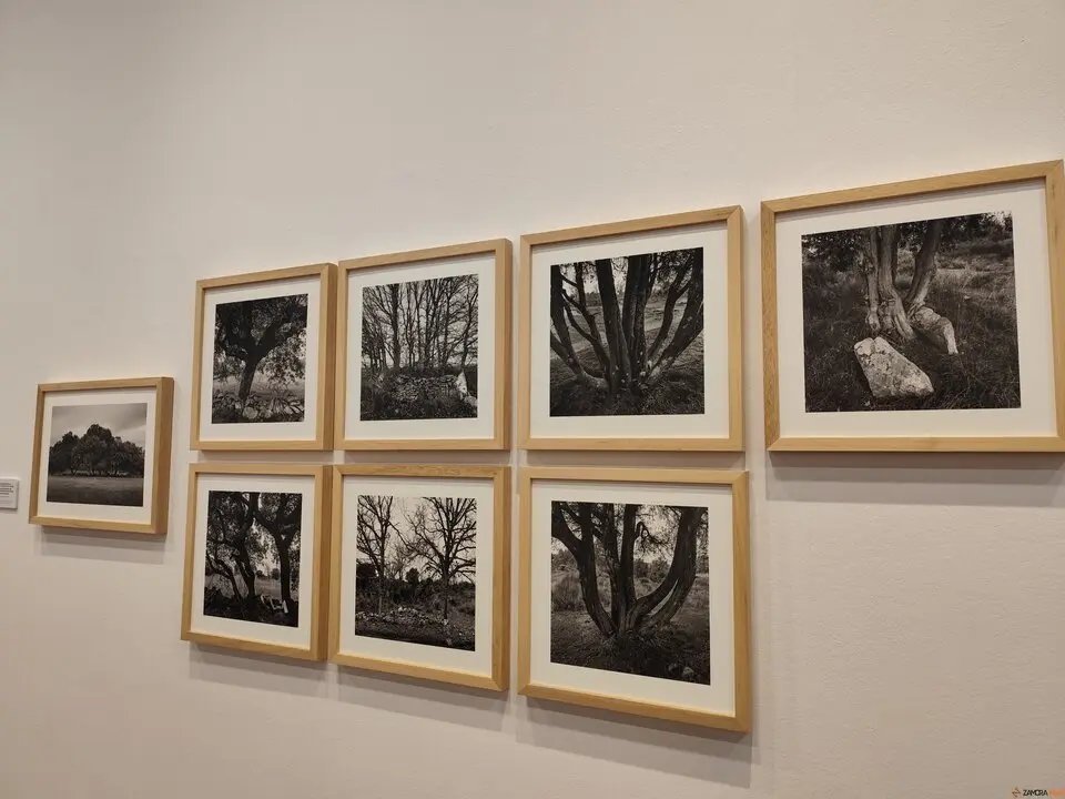 El alma de Sayago, retratada en el Museo de Zamora