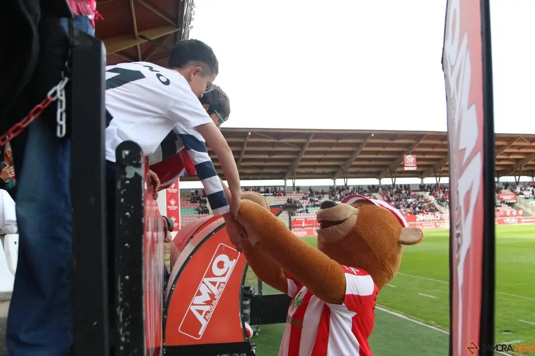 Zamora CF vs Ponferradina