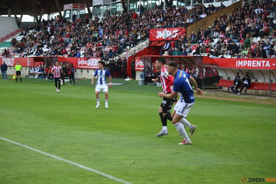 Zamora CF vs Ponferradina