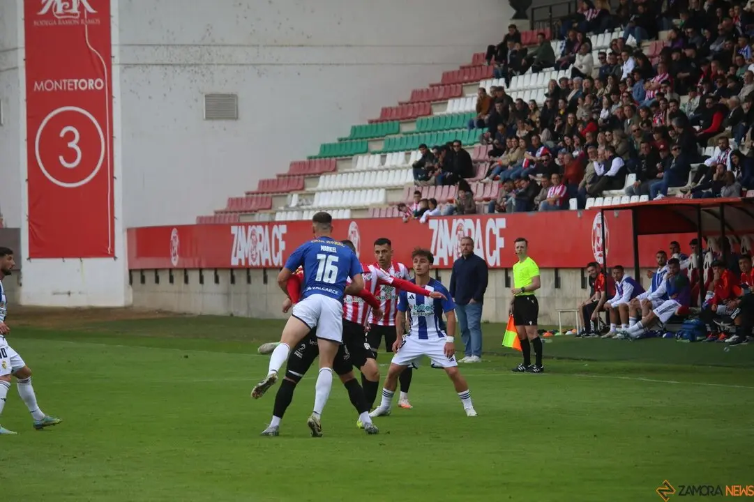 Zamora CF vs Ponferradina