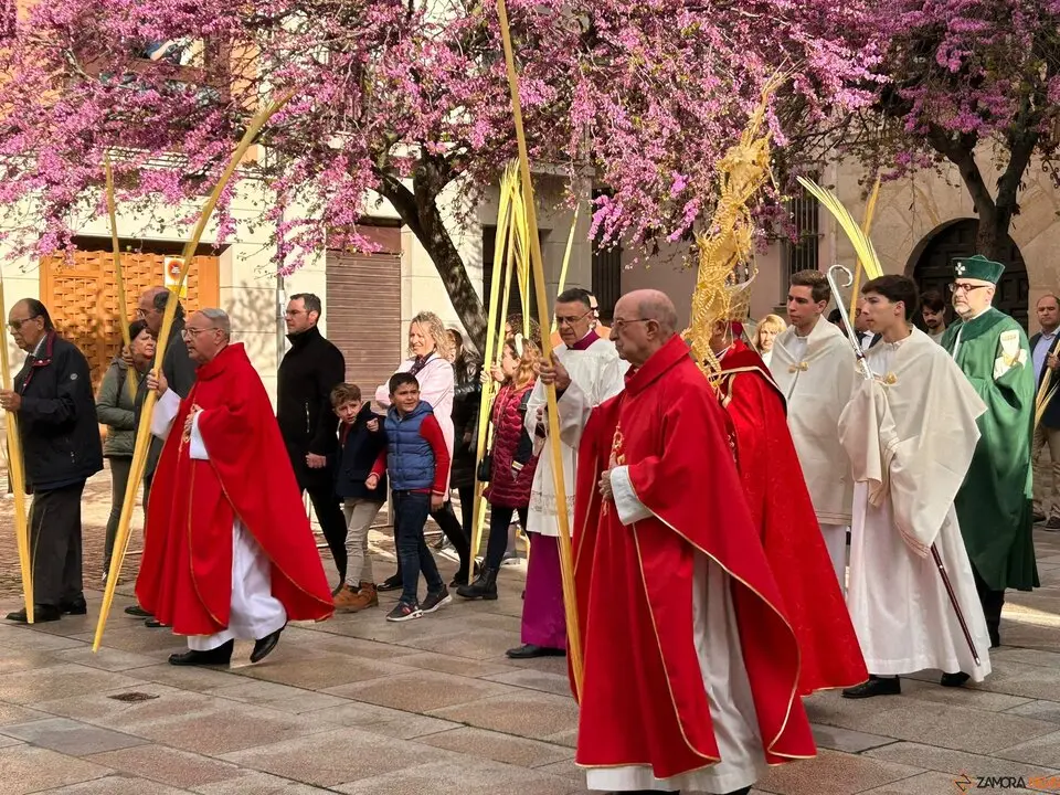 La celebración del Domingo de Ramos arranca en Zamora con la tradicional bendición de palmas