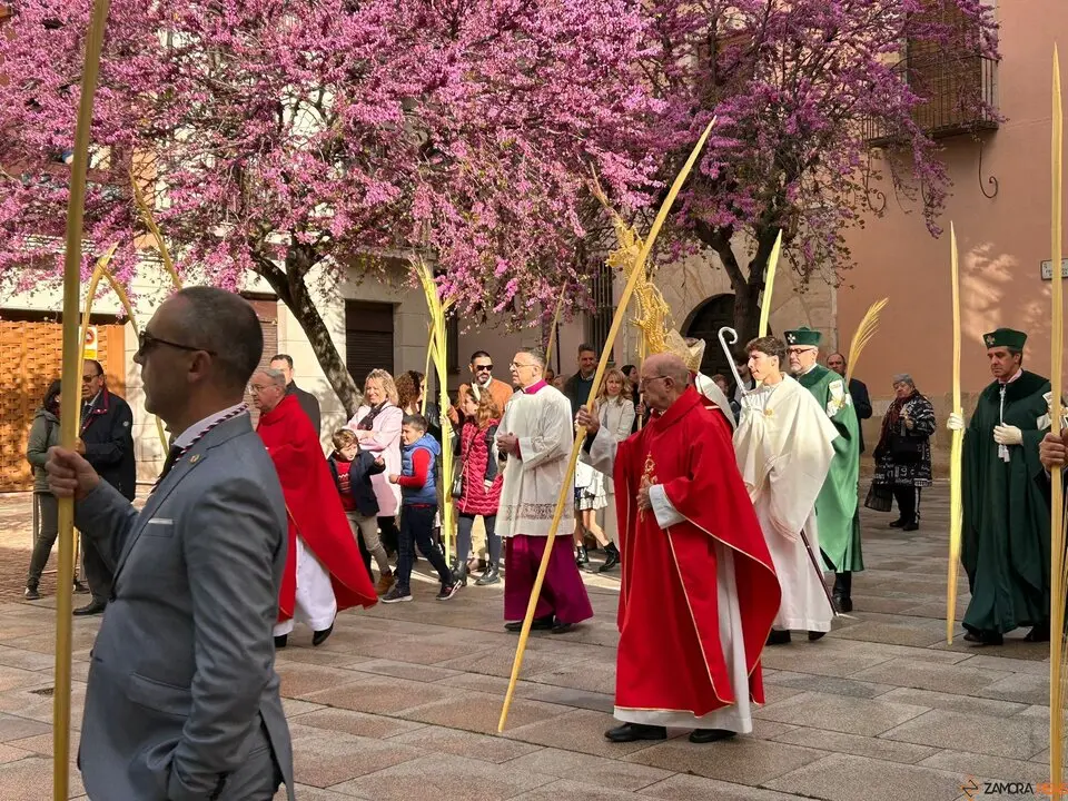 La celebración del Domingo de Ramos arranca en Zamora con la tradicional bendición de palmas