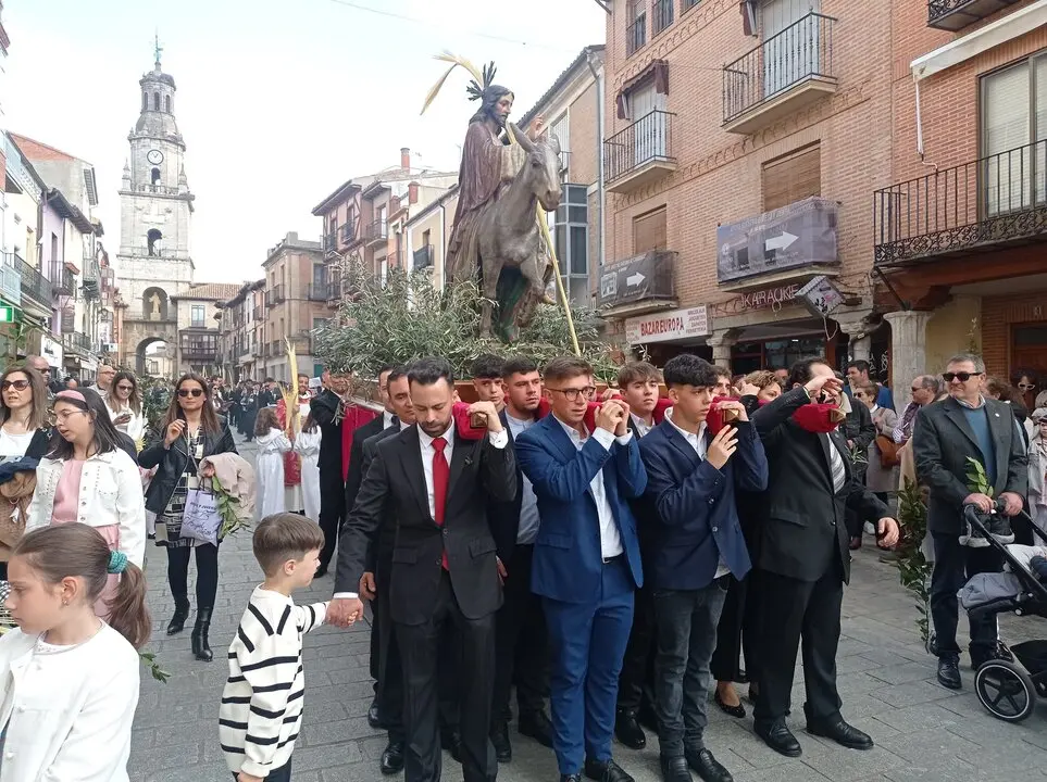 borriquita toro zamora11