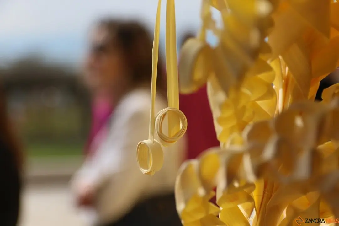 Domingo de Ramos en Zamora, los niños protagonistas