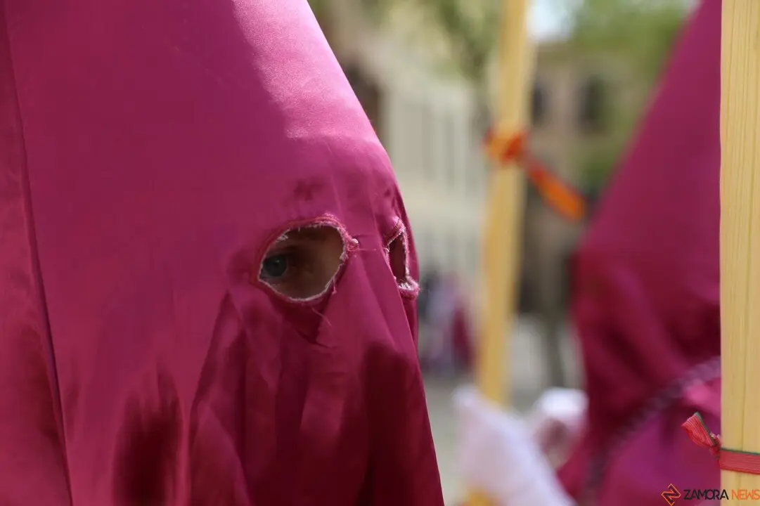 Domingo de Ramos en Zamora, los niños protagonistas