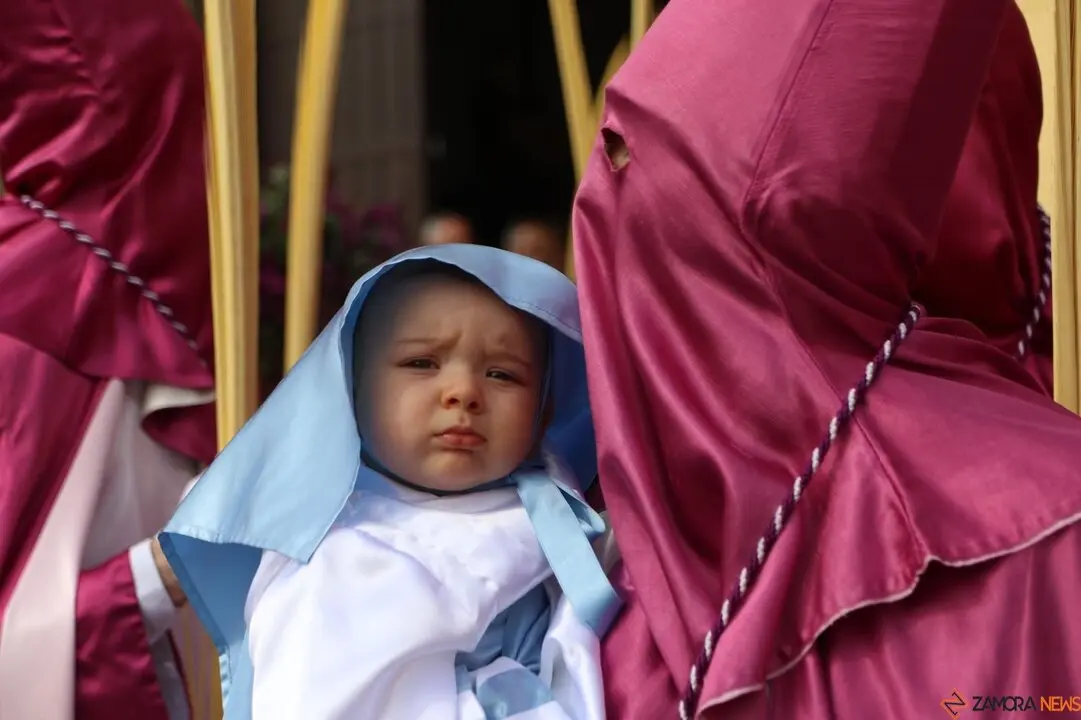 Domingo de Ramos en Zamora, los niños protagonistas