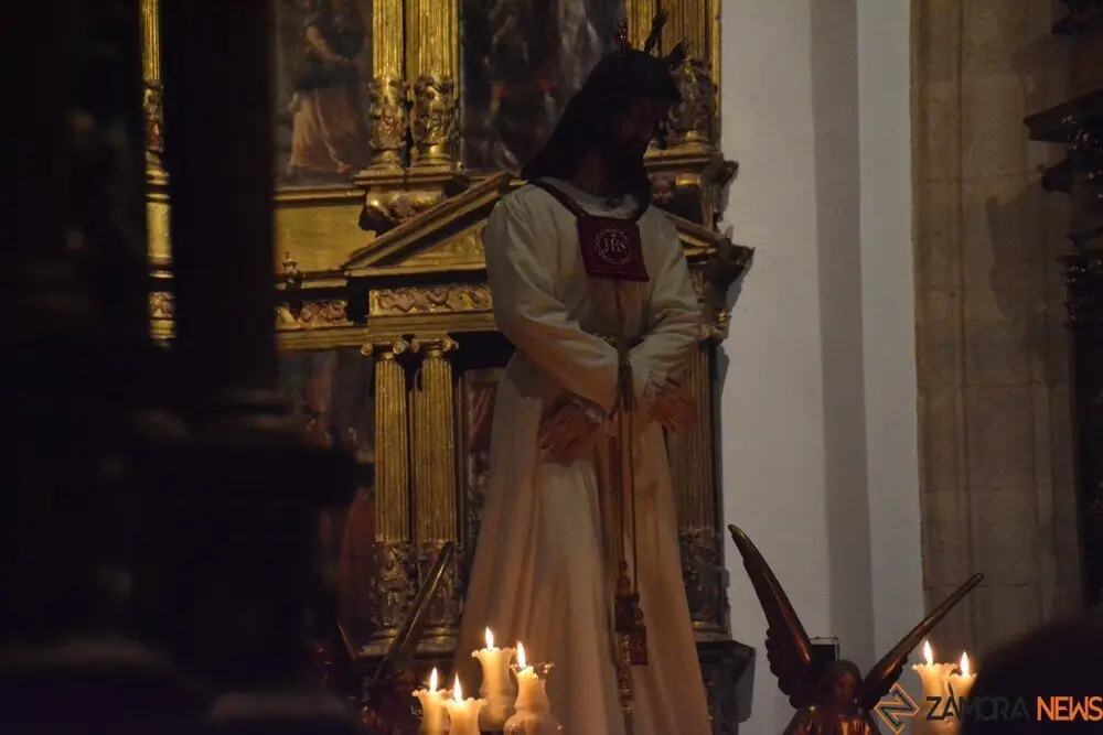 misericordia toro _8