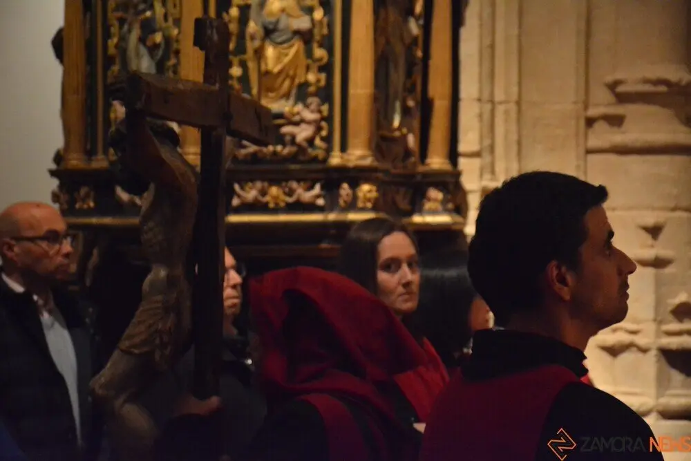 misericordia toro _29