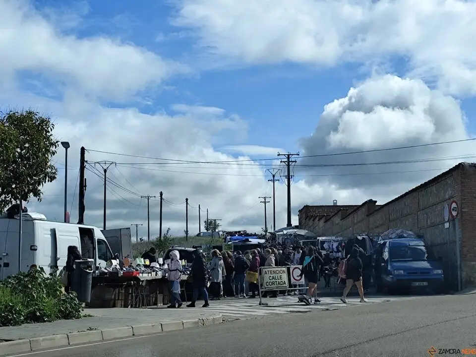 Mercadillo, Zamora