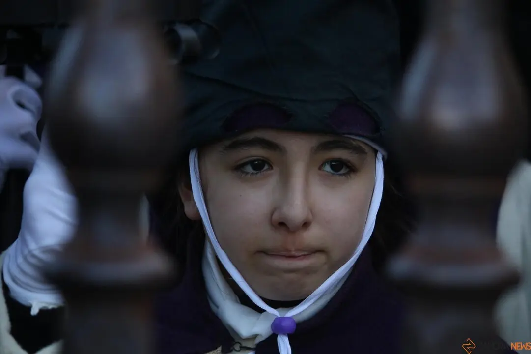 Cofradía de Jesús del Vía Crucis