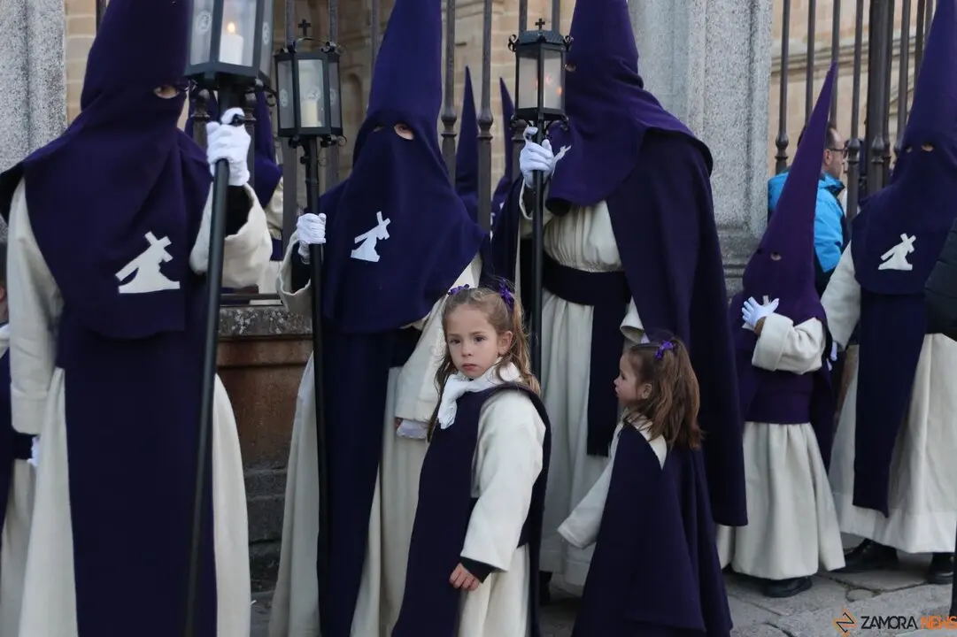 Cofradía de Jesús del Vía Crucis
