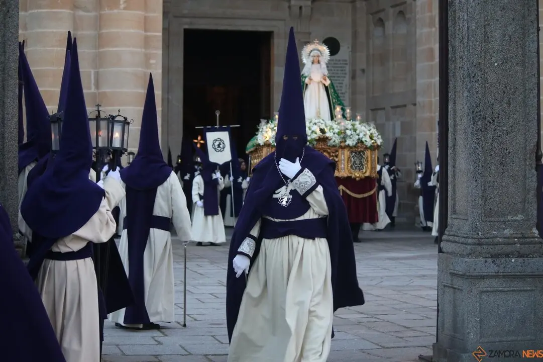 Cofradía de Jesús del Vía Crucis