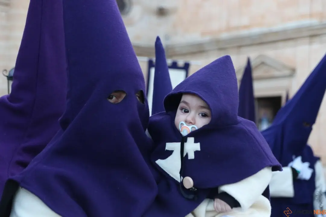 Cofradía de Jesús del Vía Crucis