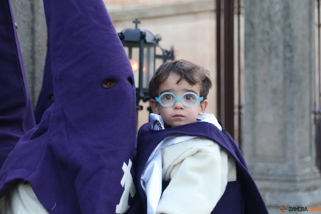 Cofradía de Jesús del Vía Crucis