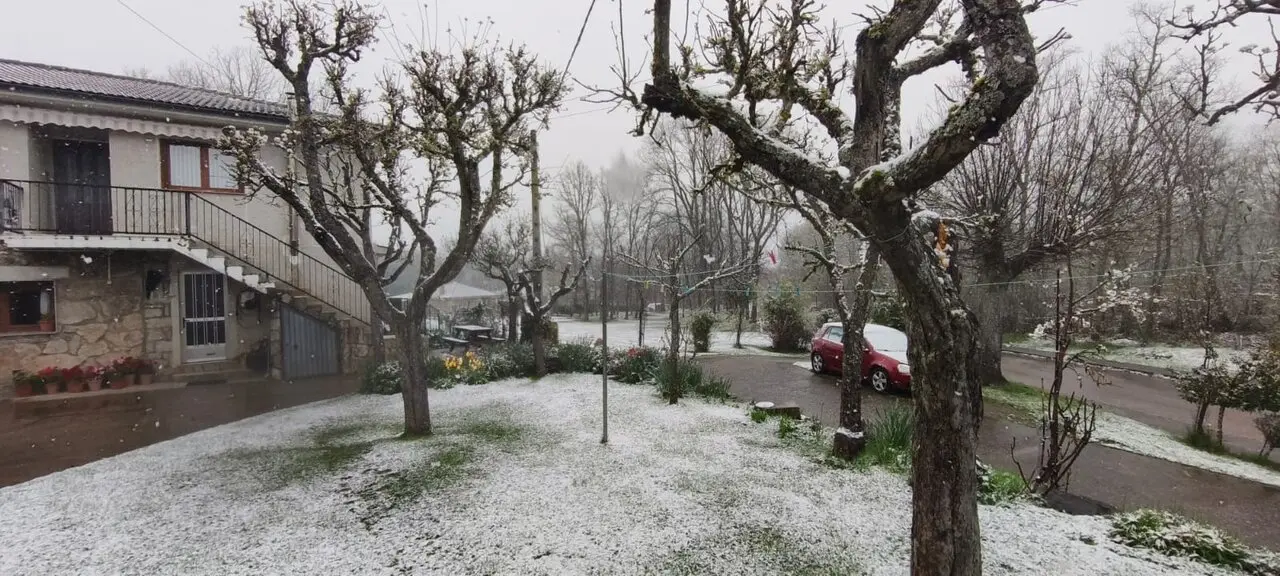 nieve sanabria