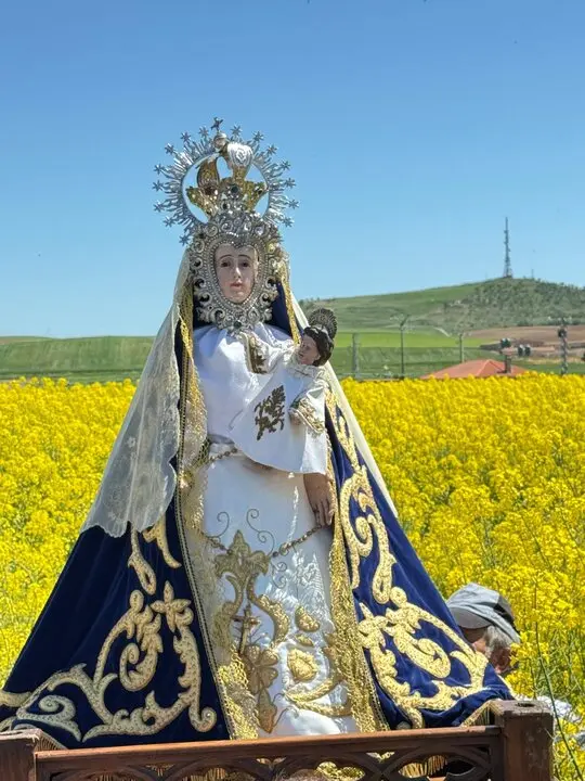  rogativa desde Madridanos a Bamba (6)