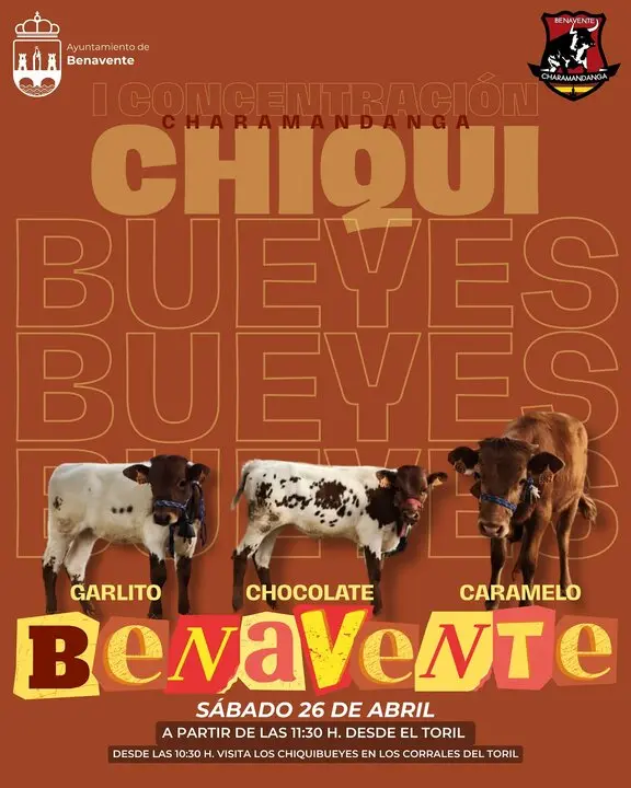 actividad taurina menores Benavente