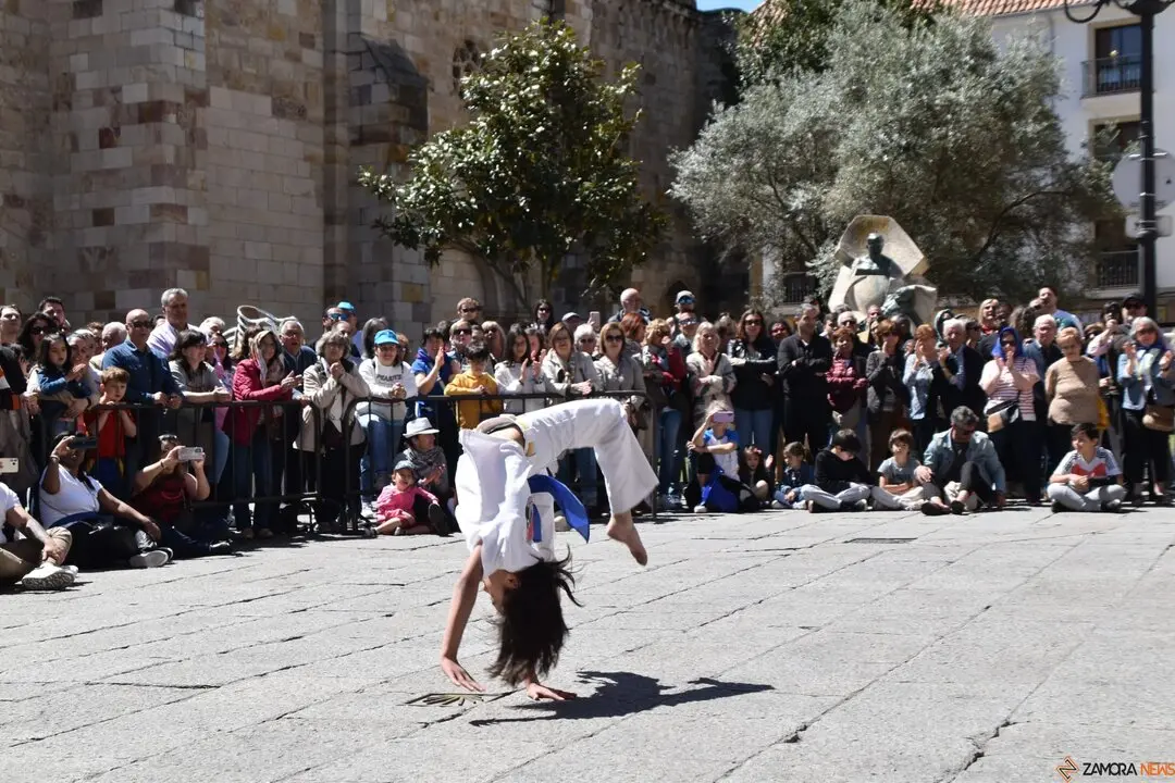 Día Internacional de la Danza, Plaza Mayor