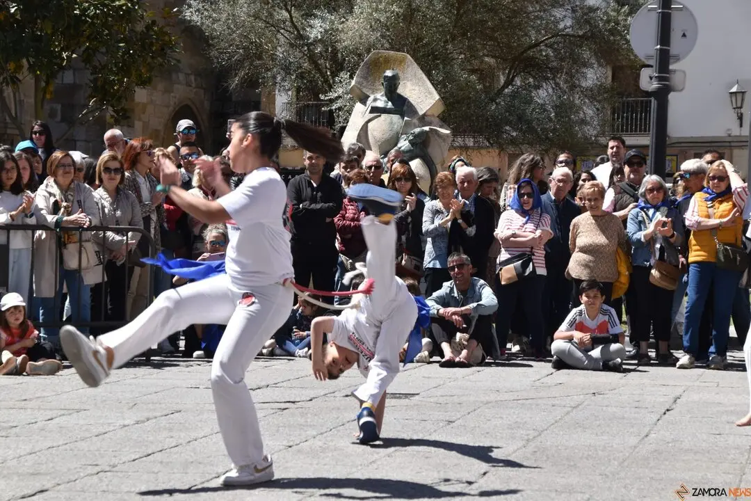 Día Internacional de la Danza, Plaza Mayor