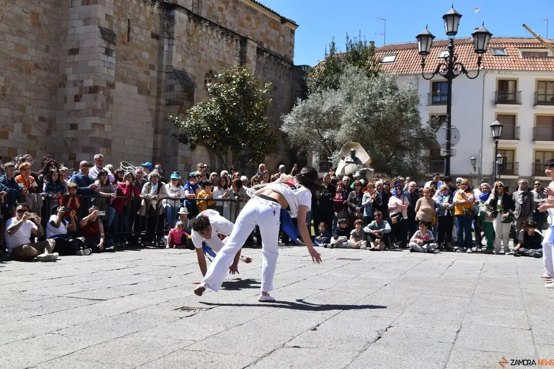 Día Internacional de la Danza, Plaza Mayor