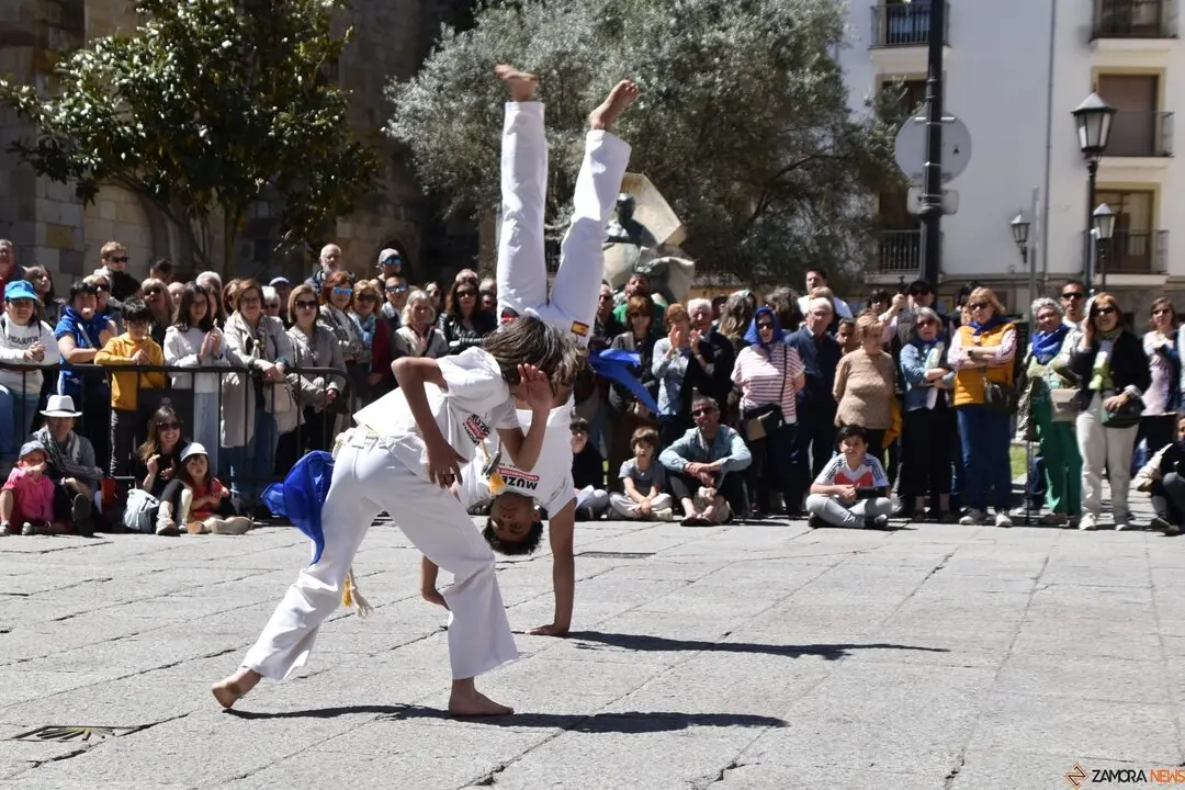 Día Internacional de la Danza, Plaza Mayor